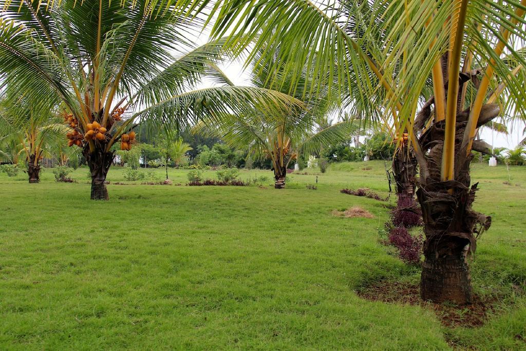 Grande Bay Resort And Spa Mamallapuram מראה חיצוני תמונה