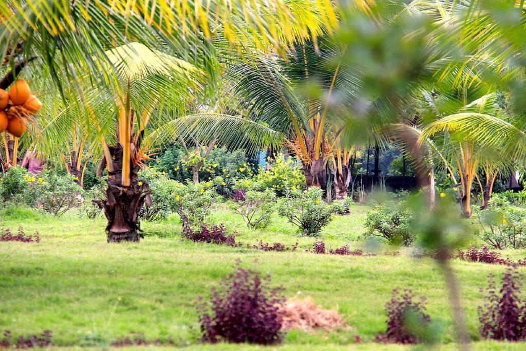 Grande Bay Resort And Spa Mamallapuram מראה חיצוני תמונה